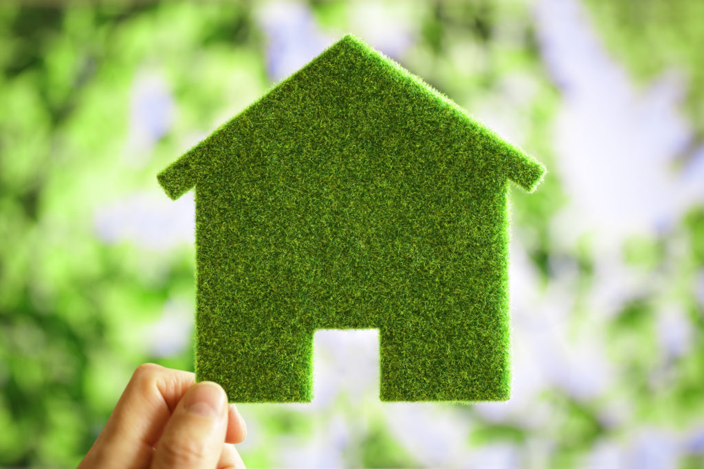 Residential Energy Efficiency/Sustainability Update